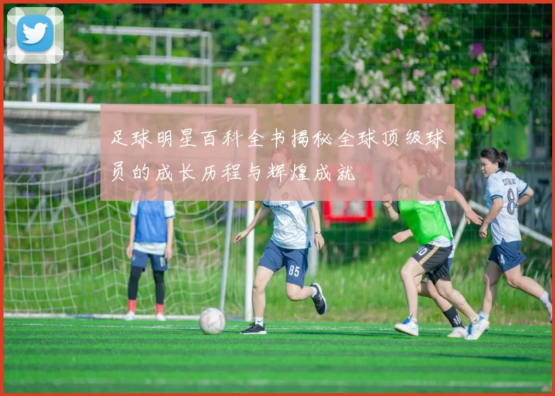 足球明星百科全书揭秘全球顶级球员的成长历程与辉煌成就