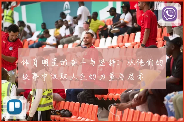 体育明星的奋斗与坚持：从他们的故事中汲取人生的力量与启示