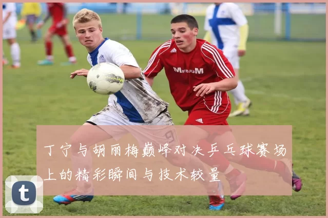 丁宁与胡丽梅巅峰对决乒乓球赛场上的精彩瞬间与技术较量